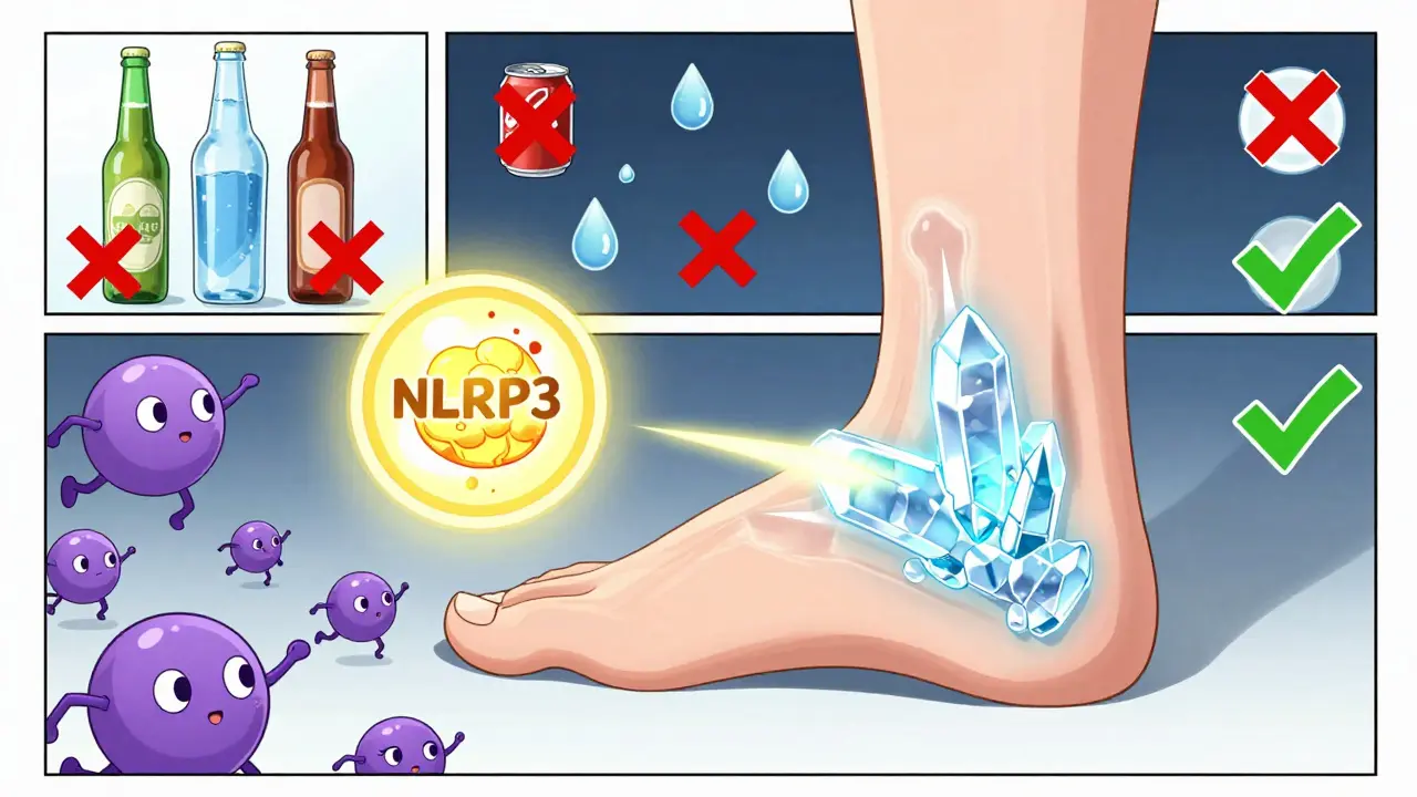 A stylized foot with translucent skin revealing glowing uric acid crystals and anime-style immune cells reacting to them.